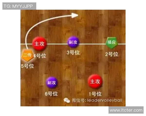 深入分析上海排球队的进攻策略与战术特点解析