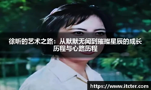 徐昕的艺术之路：从默默无闻到璀璨星辰的成长历程与心路历程